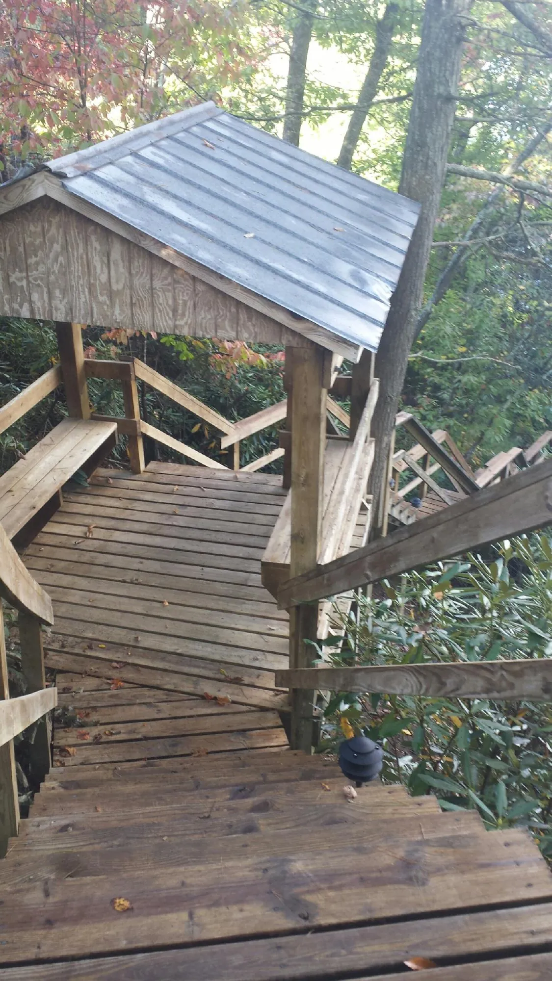 Metal roofed shelter over wooden steps on a wooded walkway — Skylight Repair & Installation work by our crew in Everson