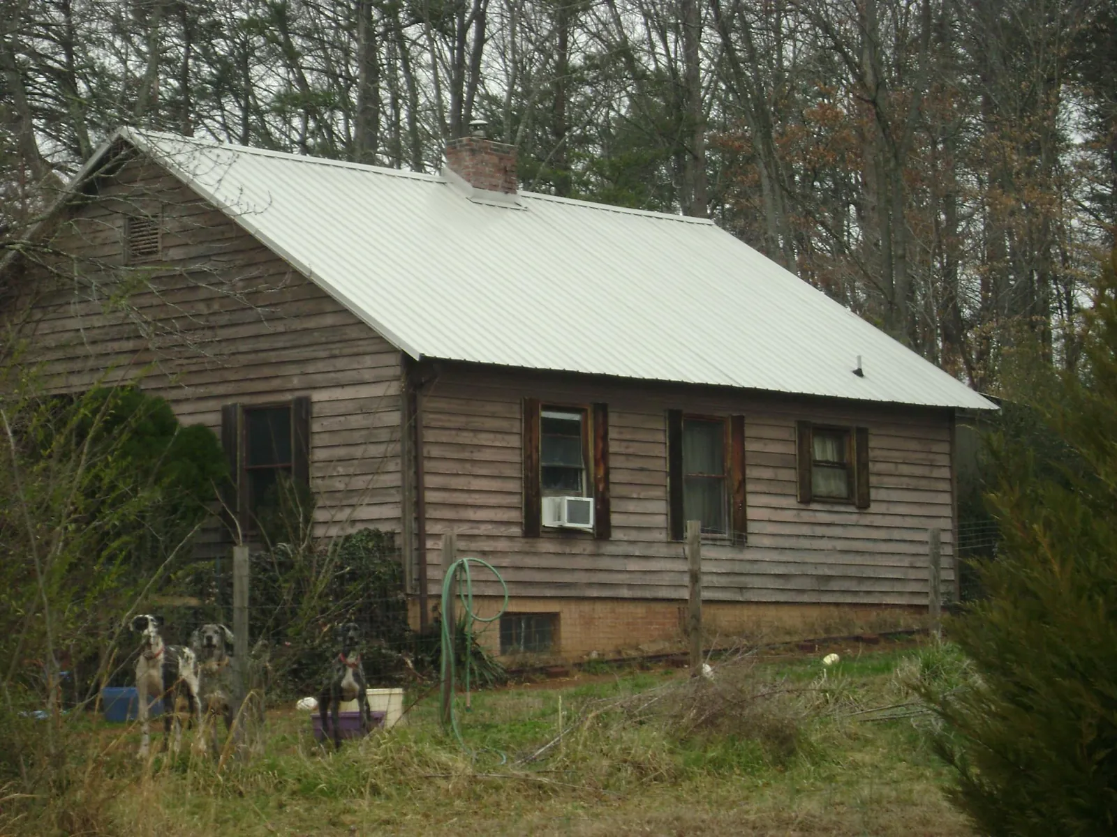 White metal roof on an old wood sided farmhouse, from a Asphalt Shingle Roof Repair job in Everson